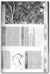 1995 Page 088
